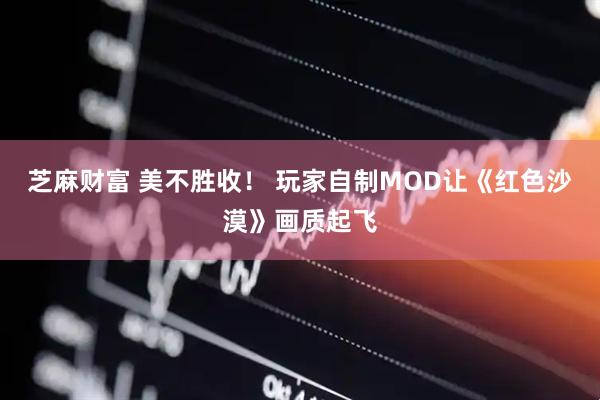芝麻财富 美不胜收！ 玩家自制MOD让《红色沙漠》画质起飞