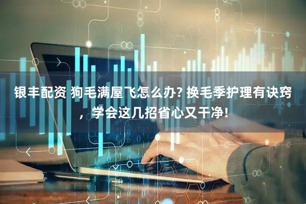银丰配资 狗毛满屋飞怎么办? 换毛季护理有诀窍，学会这几招省心又干净!