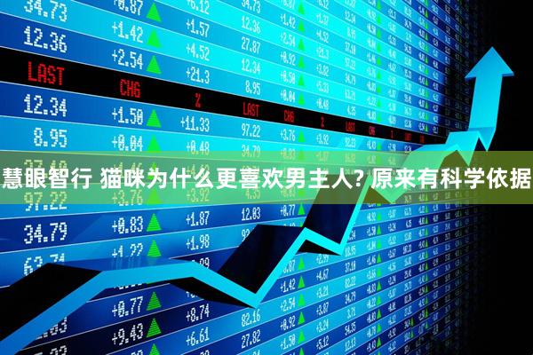 慧眼智行 猫咪为什么更喜欢男主人? 原来有科学依据