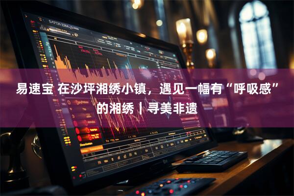 易速宝 在沙坪湘绣小镇，遇见一幅有“呼吸感”的湘绣｜寻美非遗