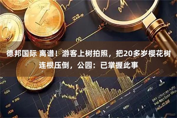 德邦国际 离谱！游客上树拍照，把20多岁樱花树连根压倒，公园：已掌握此事